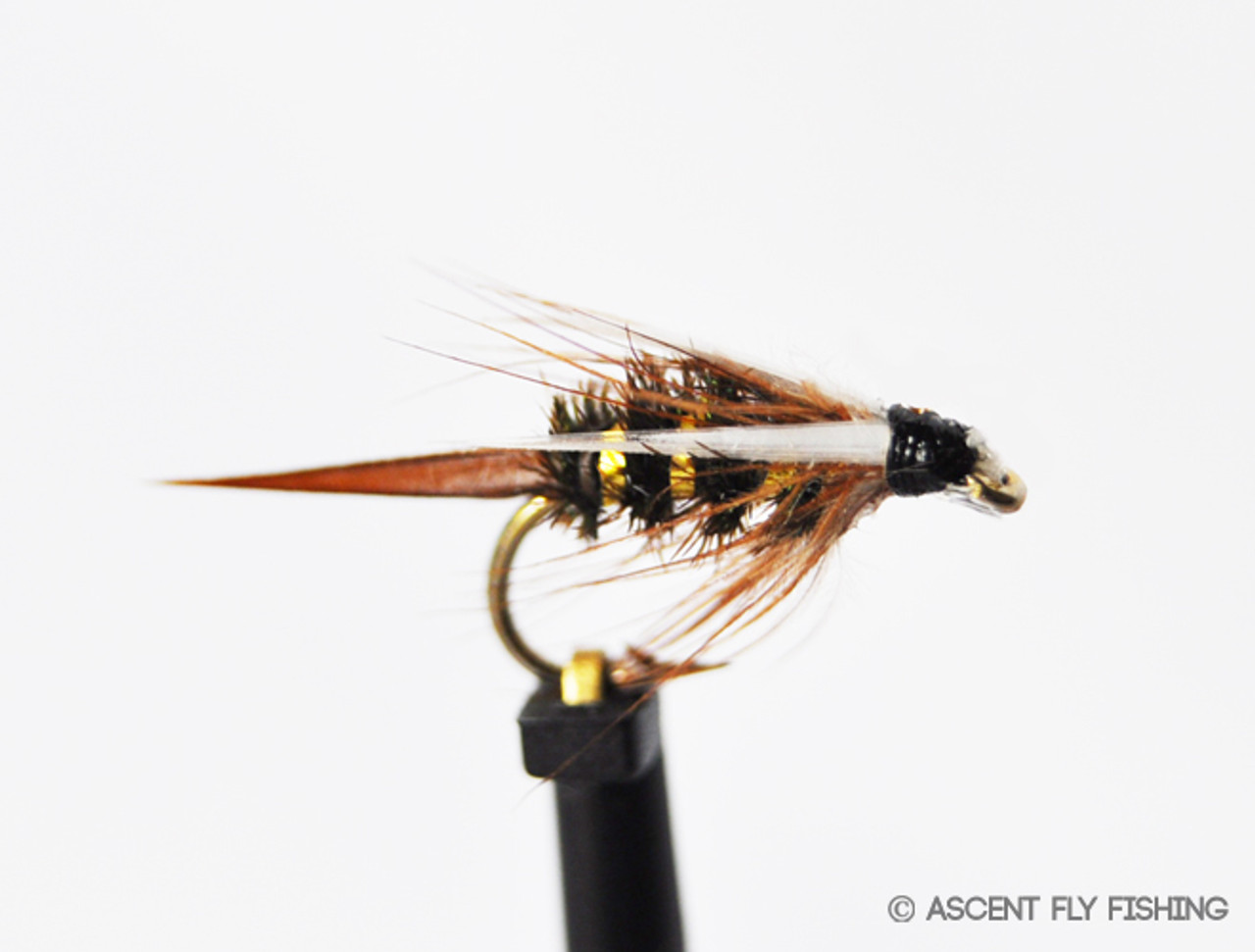 Prince Nymph - Ascent Fly Fishing