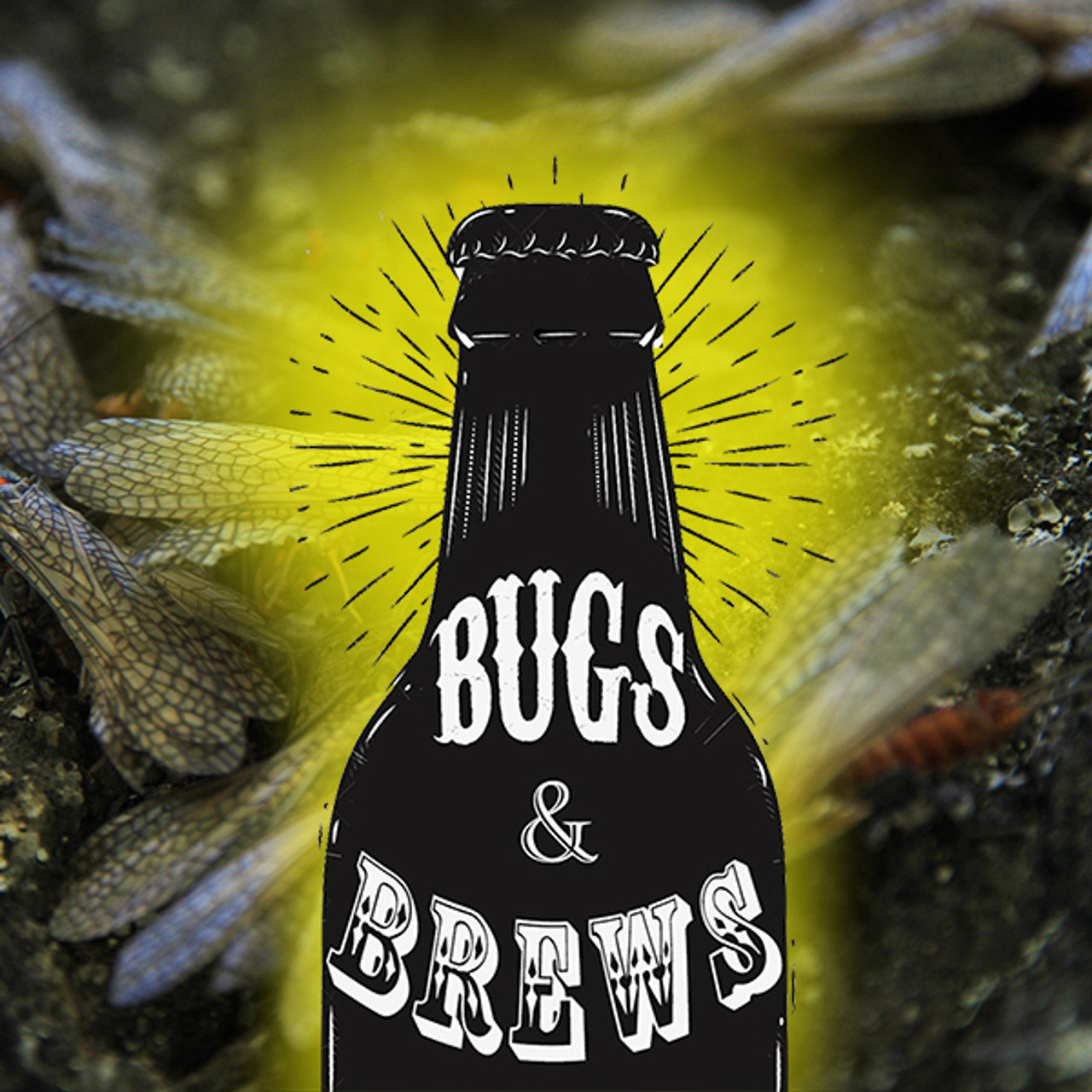 Bugs & Brews- Match the Hatch Class