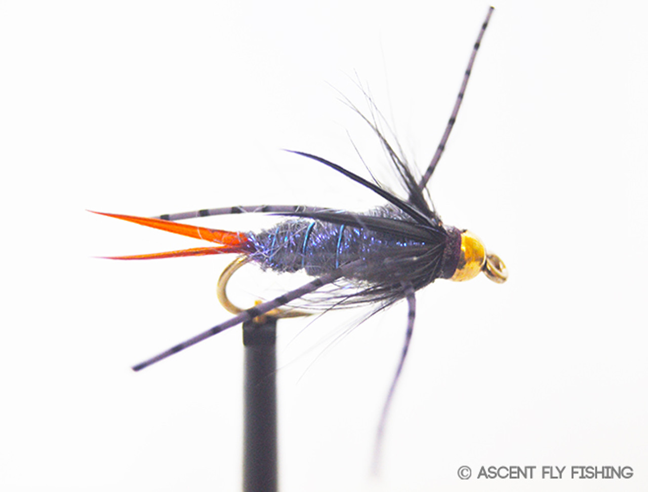 Trout Flies, Fishing Flies - 5 Bead Head Stonefly Fishing Flies - Black,  Wet Flies, Nymph Flies - Sizes 10, 12, 14, 16, 18