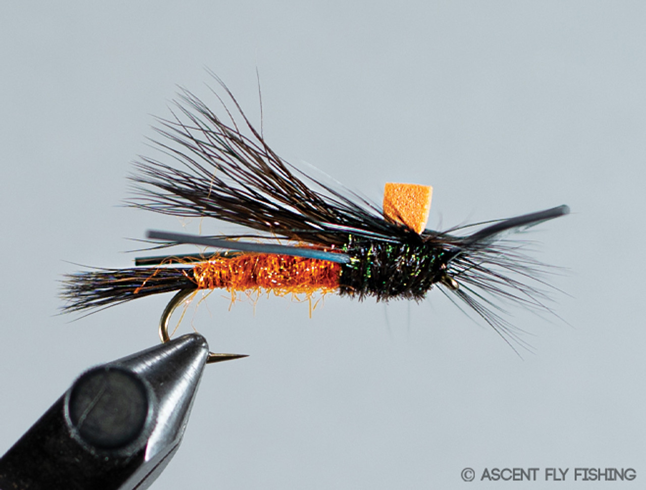 Adult Stone for Sale - $1.50/Fly