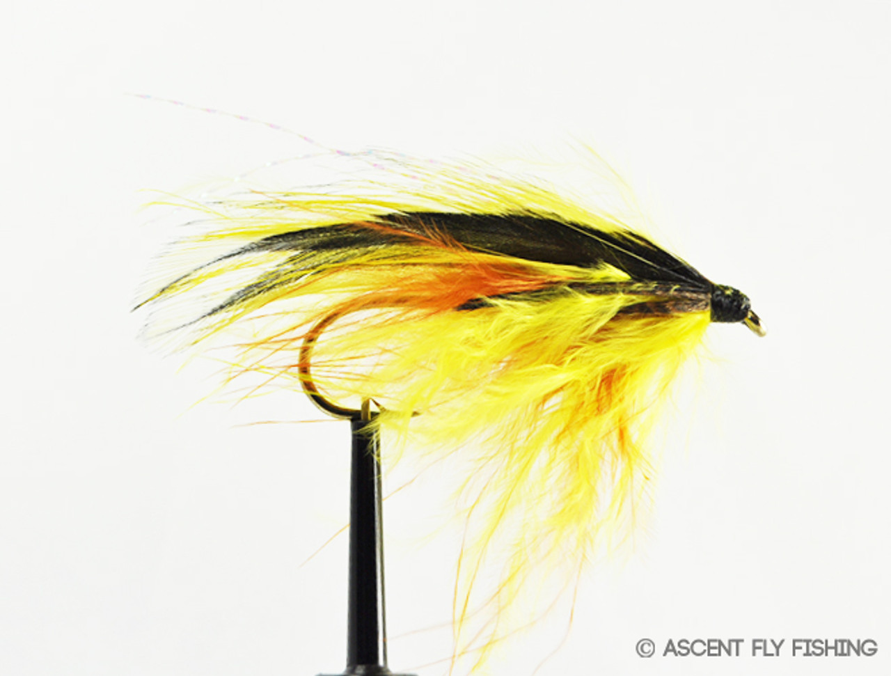 Platte River Spider - Ascent Fly Fishing