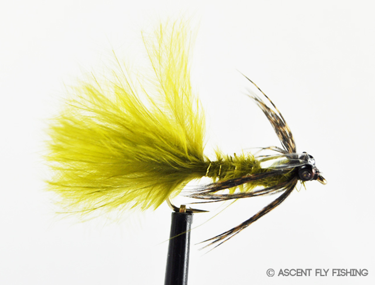 Bachmann's Damsel Nymph - Ascent Fly Fishing