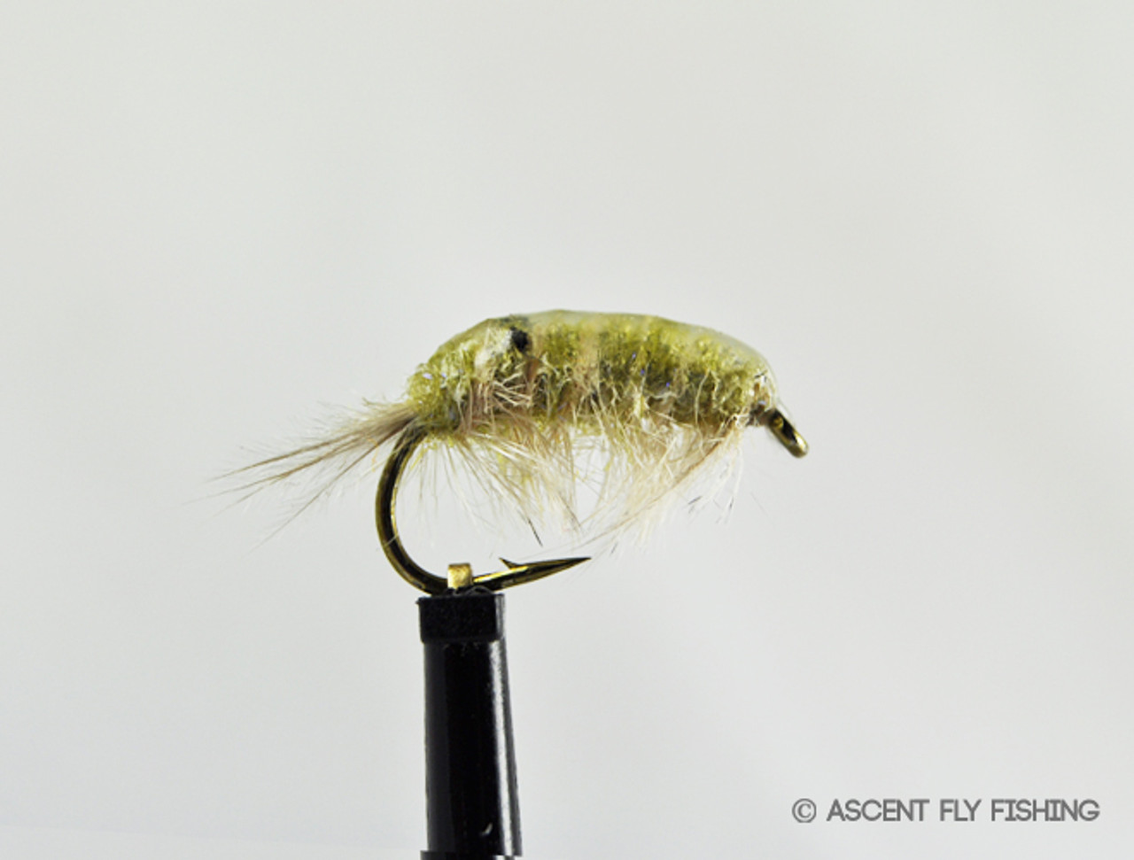 BTS Scud - Ascent Fly Fishing