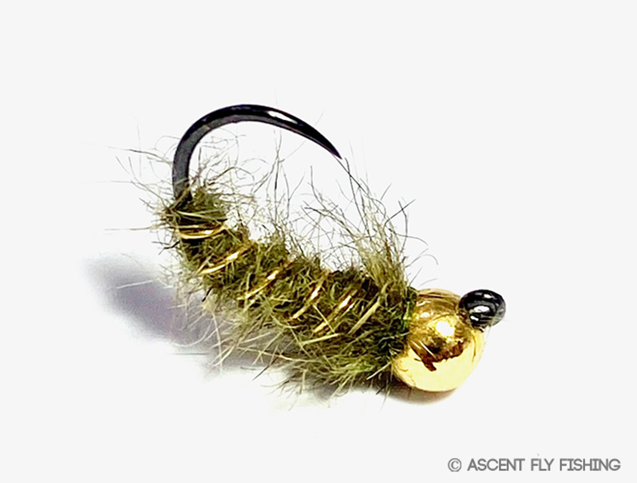 Tungsten Jigged Walt's Worm - Ascent Fly Fishing