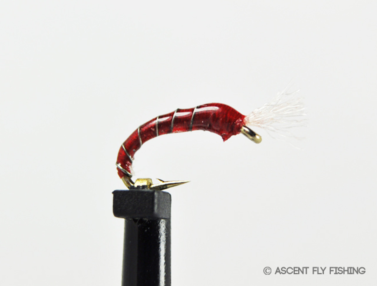 3D Epoxy Bloodworm - Ascent Fly Fishing