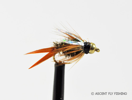 Flies & Streamers - Flies By Type - Beadhead Nymphs - Page 1 - Ascent Fly  Fishing