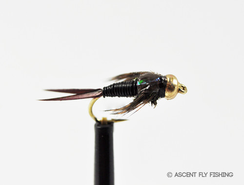 Tungsten Slim Shady - Ascent Fly Fishing