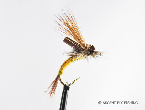 Vtwins Baetis Nymphs Emergers Flies Pheasant Mayfly Fly Fishing