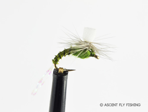 Quill Midge Emerger - Ascent Fly Fishing