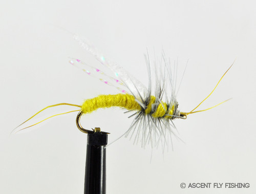 Yellow Sally Brown Hackle – Rocky Mountain Fly and Feather