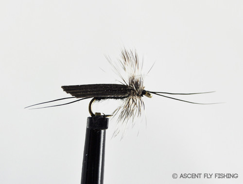 STONEFLY FOAM - BLACK