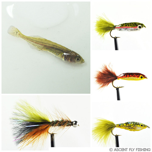 Flies & Streamers - Flies By Family - Minnows, Leeches & Crawfish - Page 2  - Ascent Fly Fishing