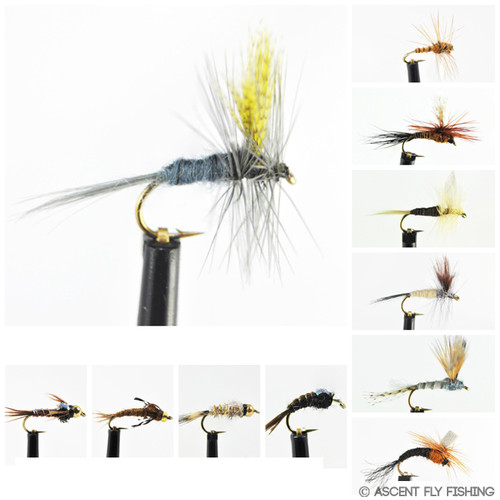 Go-To Dry Mayfly Selection - Ascent Fly Fishing