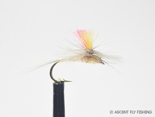 Parachute Adams - Ascent Fly Fishing