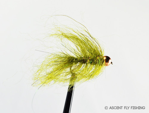 Beadhead Mini Leech - Ascent Fly Fishing