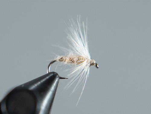 Soft Hackle Hex Nymph - Ascent Fly Fishing