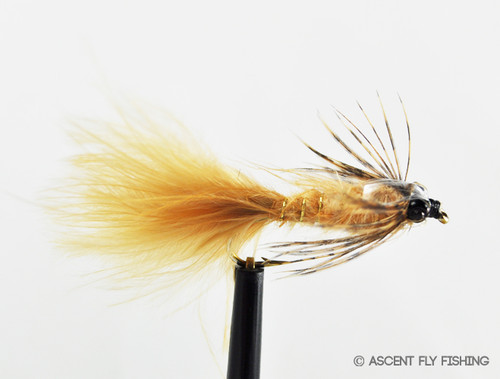 Shad Selection - Ascent Fly Fishing