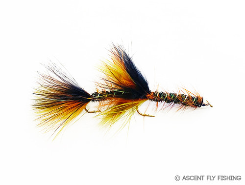 Flies & Streamers - Flies By Type - Articulated Streamers - Ascent