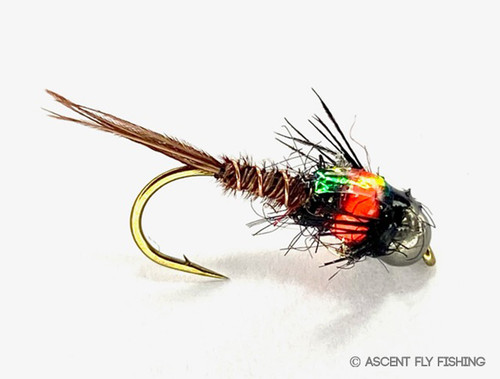 Tungsten Balanced Leech - Ascent Fly Fishing