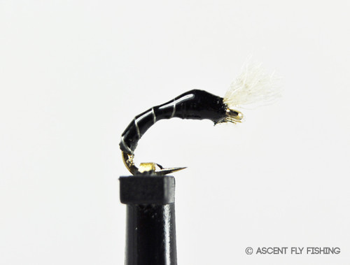 3D Epoxy Black Fly Larva