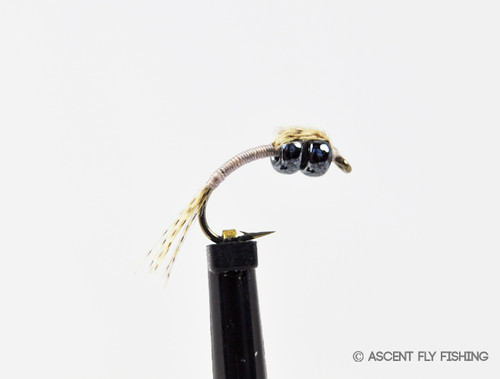 Starter Kits - Ascent Fly Fishing