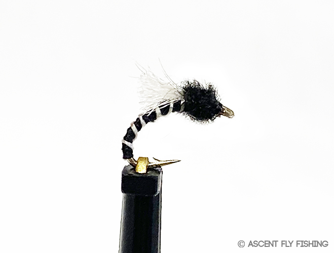 Quill Midge Emerger - Ascent Fly Fishing