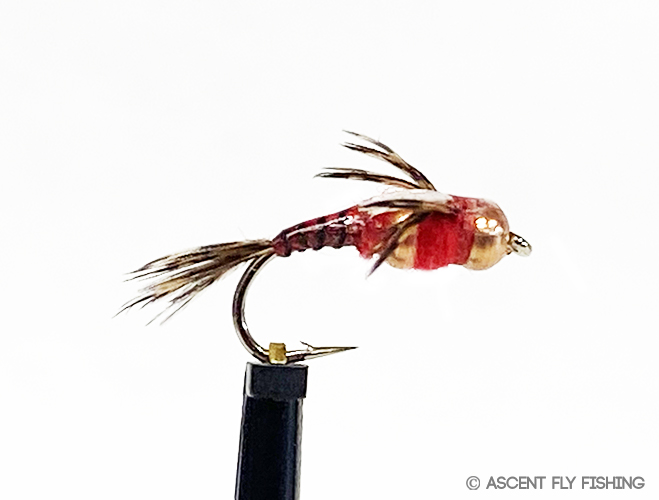 Two Bit Hooker - Ascent Fly Fishing