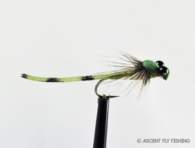 Braided Butt Damsel - Ascent Fly Fishing