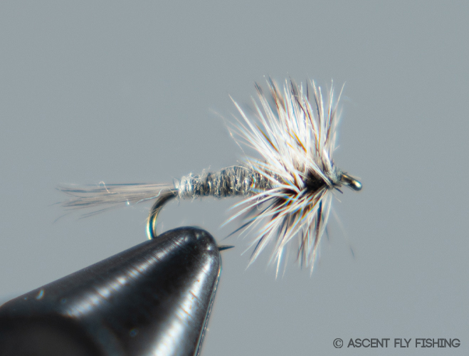 Traditional Wet Fly Trout Patterns: the Green Midge 