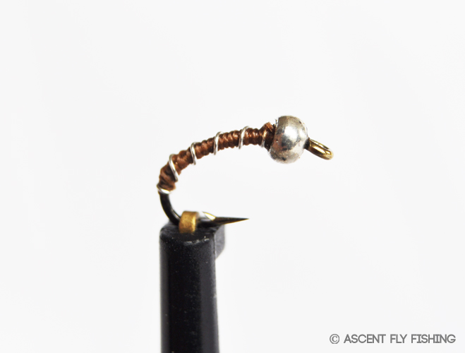 Beadhead Zebra Midge - Ascent Fly Fishing