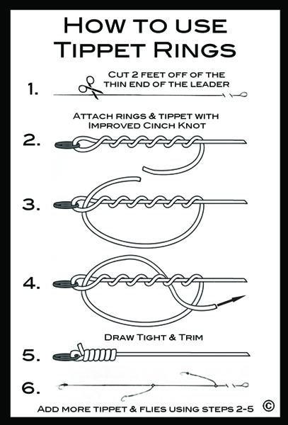 Tippet Rings - Ascent Fly Fishing