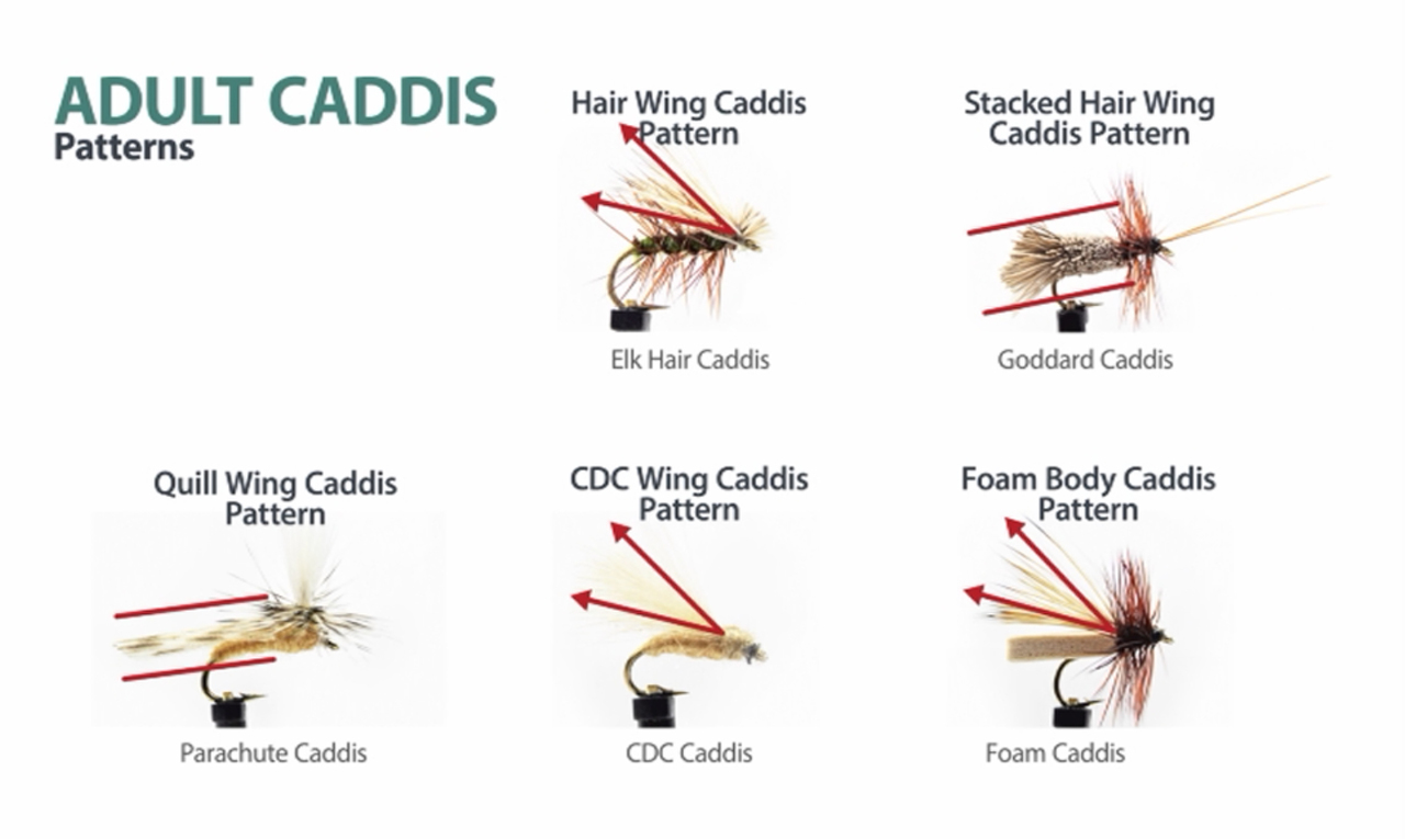 The Caddisfly Handbook: An Orvis Streamside Guide — The Flyfisher