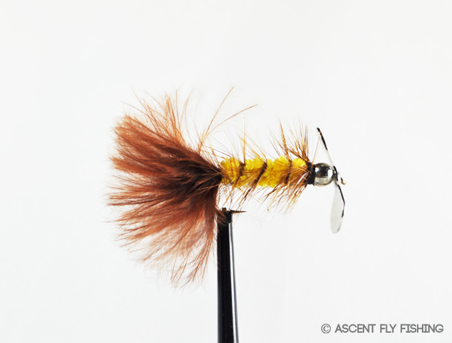 Pistol Pete - Ascent Fly Fishing