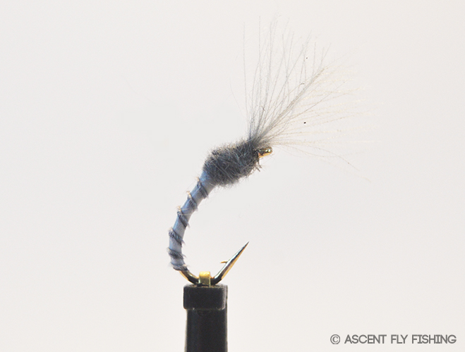 Sparkle Wing Midge Emerger - Ascent Fly Fishing