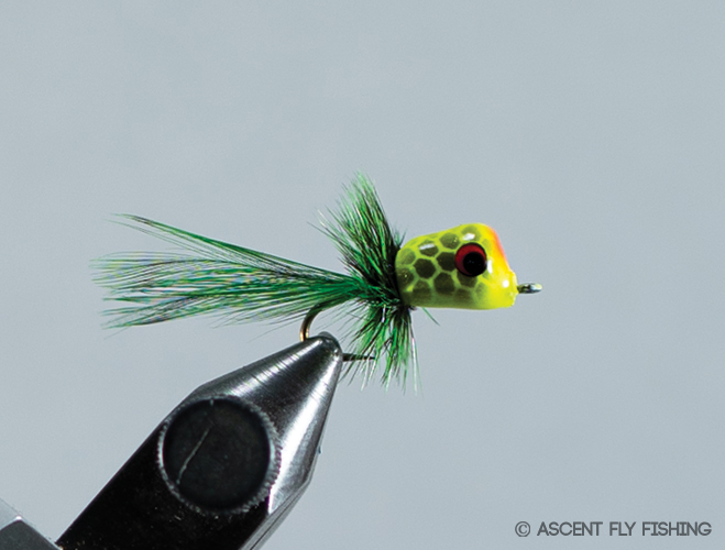 Walt's Panfish Popper - Ascent Fly Fishing