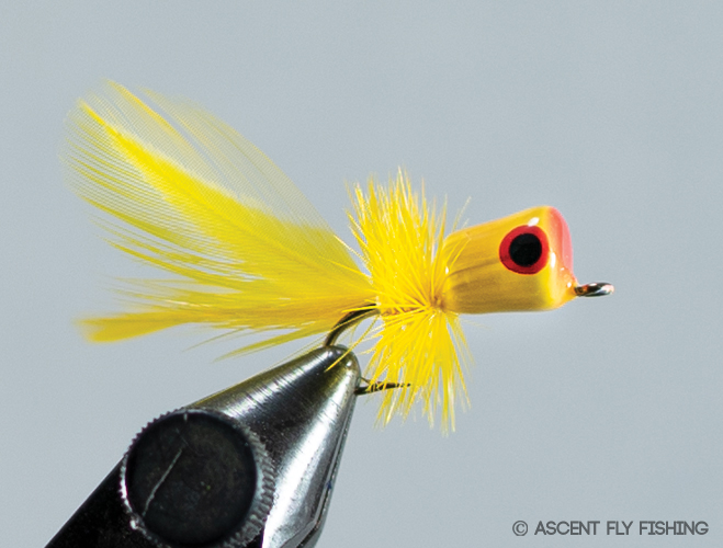 5/20pcs Fly Fishing Popper Flies Bass Panfish Bluegill Poppers Trout Salmon  - Julia McKee