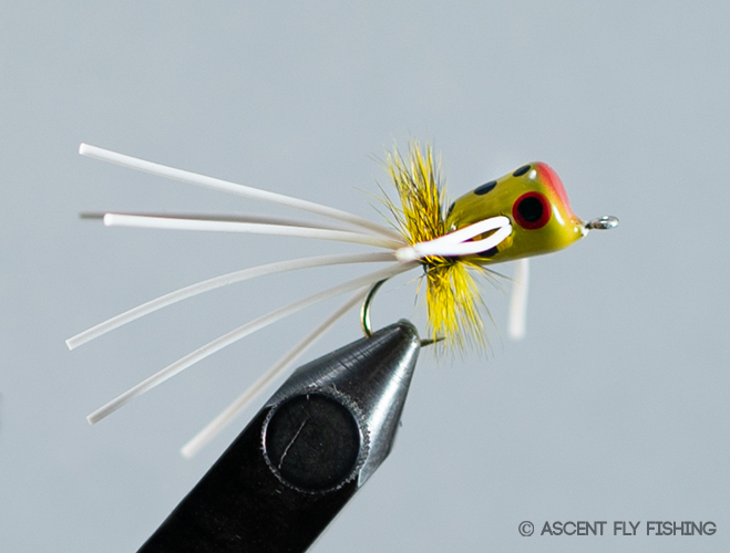 Walt's Medium Popper - Ascent Fly Fishing