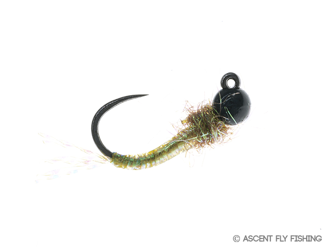 Tungsten Jig Caddis Larva - Ascent Fly Fishing