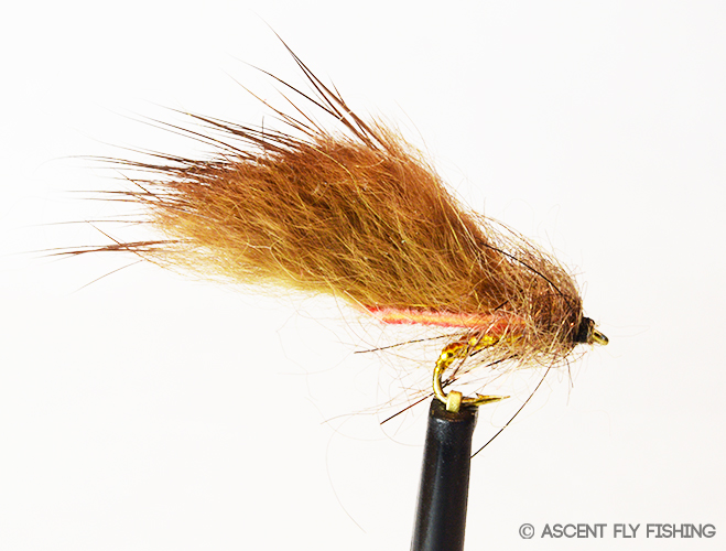  Ascent Fly Fishing Leech Selection (Small) : Sports
