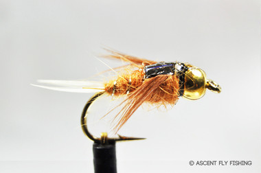 Tungsten Jig Caddis Larva - Ascent Fly Fishing