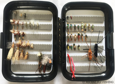 Search & Destroy Loaded Fly Box - Ascent Fly Fishing