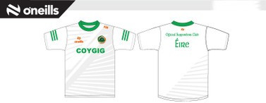 Republic of Ireland Womens Supporters Club Lincoln T-Shirt Alternative (Youths)