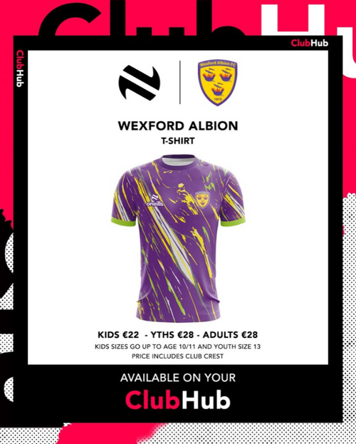 Wexford Albion FC Lincoln T-Shirt Purple - Green (Youths)