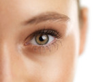 Top 6 Skin Care Benefits of Calendula Cream Top 6 Skin Care Benefits of Calendula Cream
