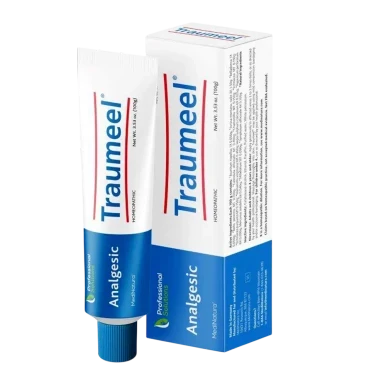 Traumeel Ointment 100g by MediNatura
