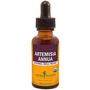 Artemisia annua 1 oz by Herb Pharm