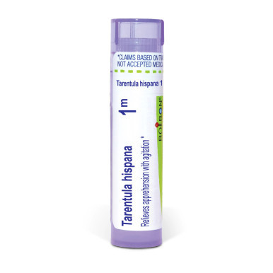 Tarentula Hispana 1m by Boiron