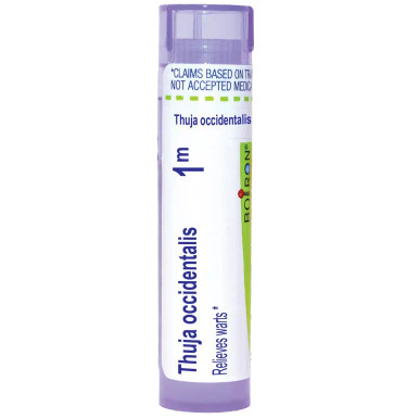 Thuja Occidentalis 1m by Boiron