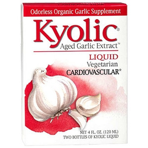 Kyolic Garlic Extract Liquid 4 oz by Wakunaga