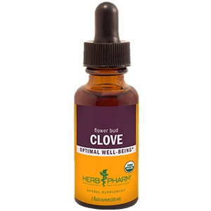 Clove/Syzygium aromaticum - 1 oz by Herb Pharm